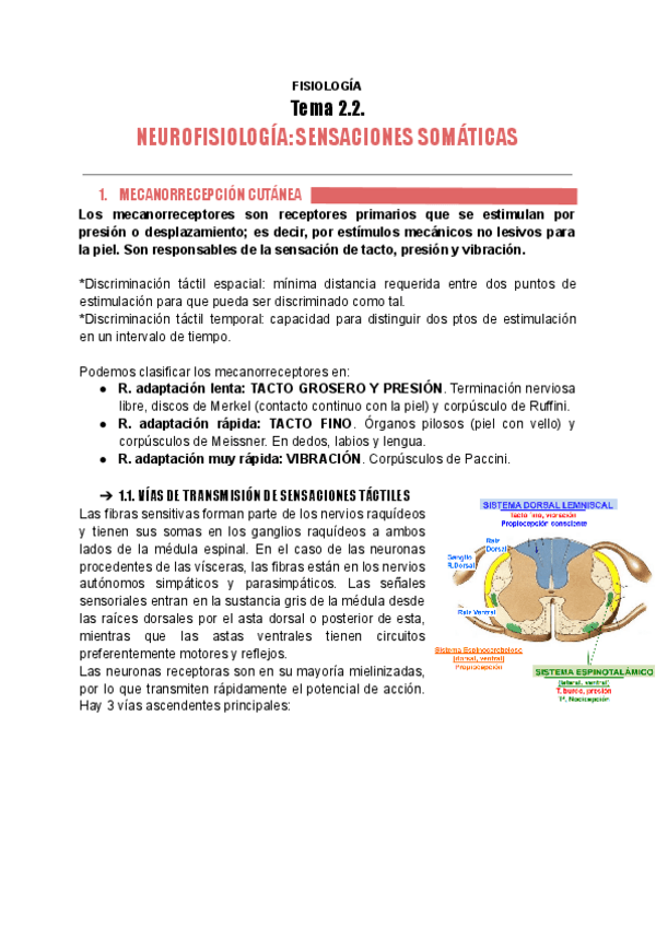 Miniatura del documento fisiologia-tema-2.2.-SENSACIONES-SOMATICAS.pdf