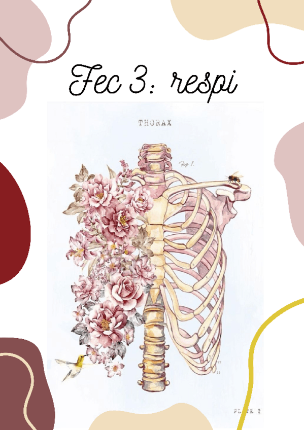 Miniatura del documento portadas-bonitas-para-imprimir-tus-apuntes.pdf