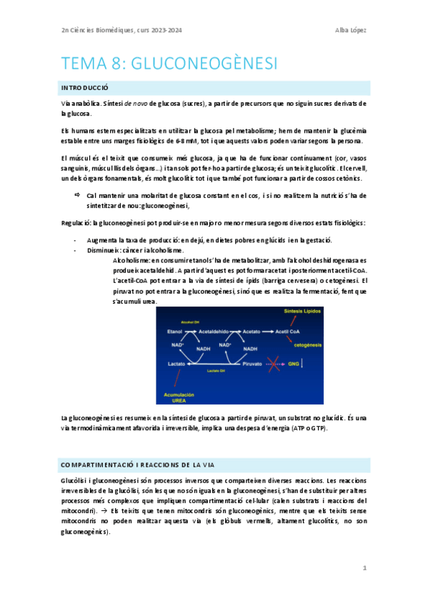 Miniatura del documento Tema-8.-Gluconeogenesi.pdf