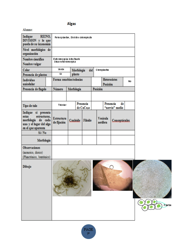 Miniatura del documento Copia-de-fichas-de-practicas-22-23.pdf