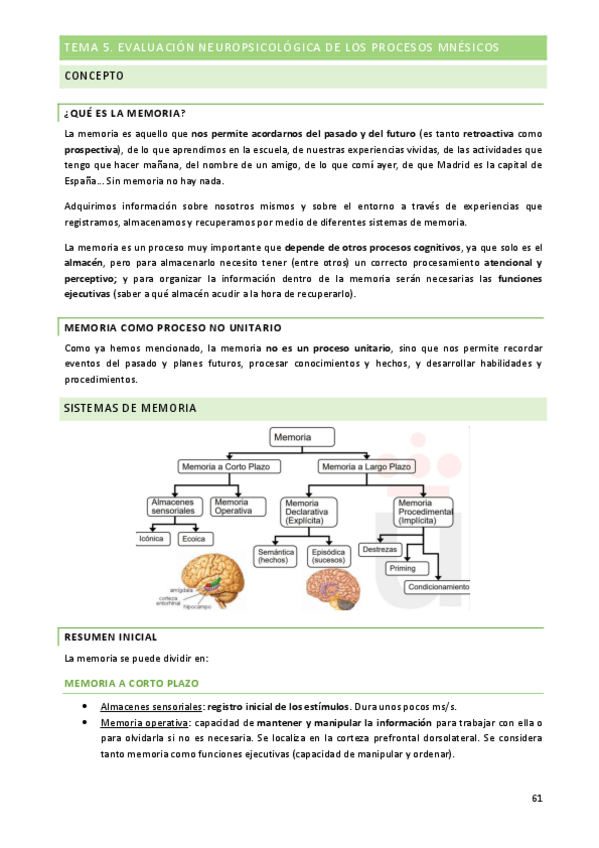 Miniatura del documento Evaluacion-Neuropsicologica-T-5-7.pdf