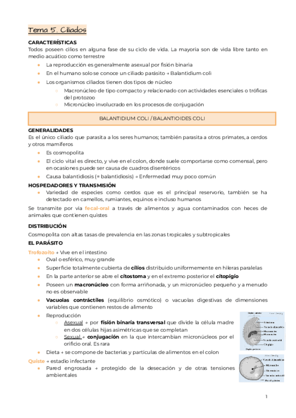 Miniatura del documento Tema-5.-Ciliados.pdf