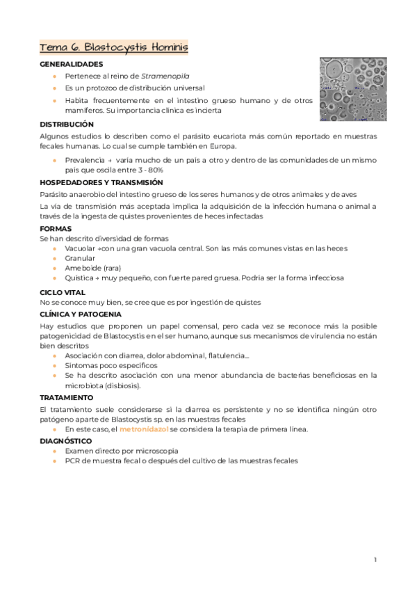 Miniatura del documento Tema-6.-Blastocystis-Hominis.pdf