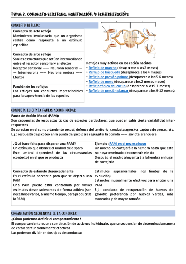Miniatura del documento TEMA-2-APRENDIZAJE.pdf