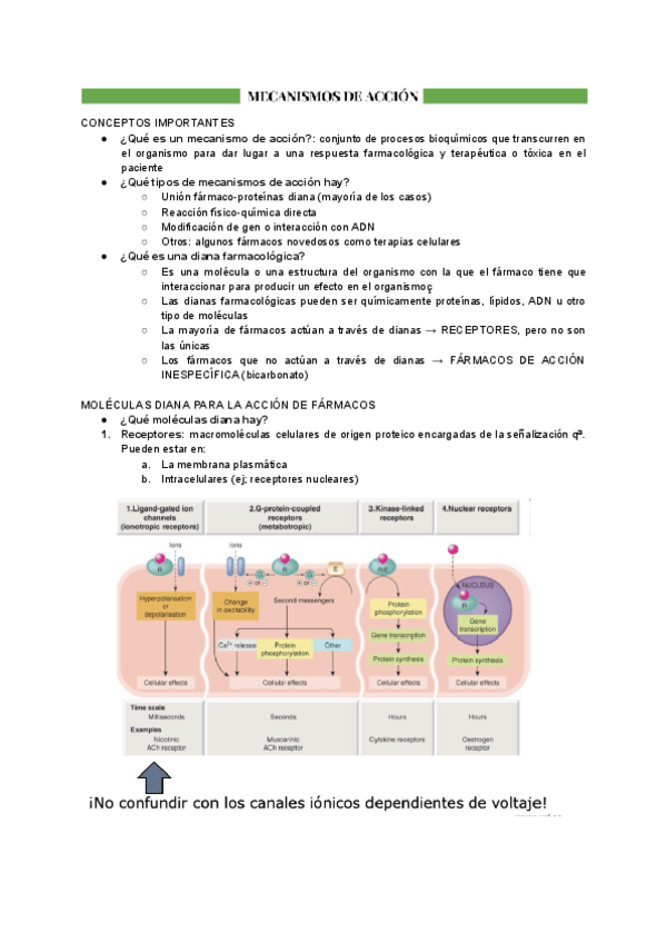 Miniatura del documento TEMA-4-MECANISMO-DE-ACCION.pdf