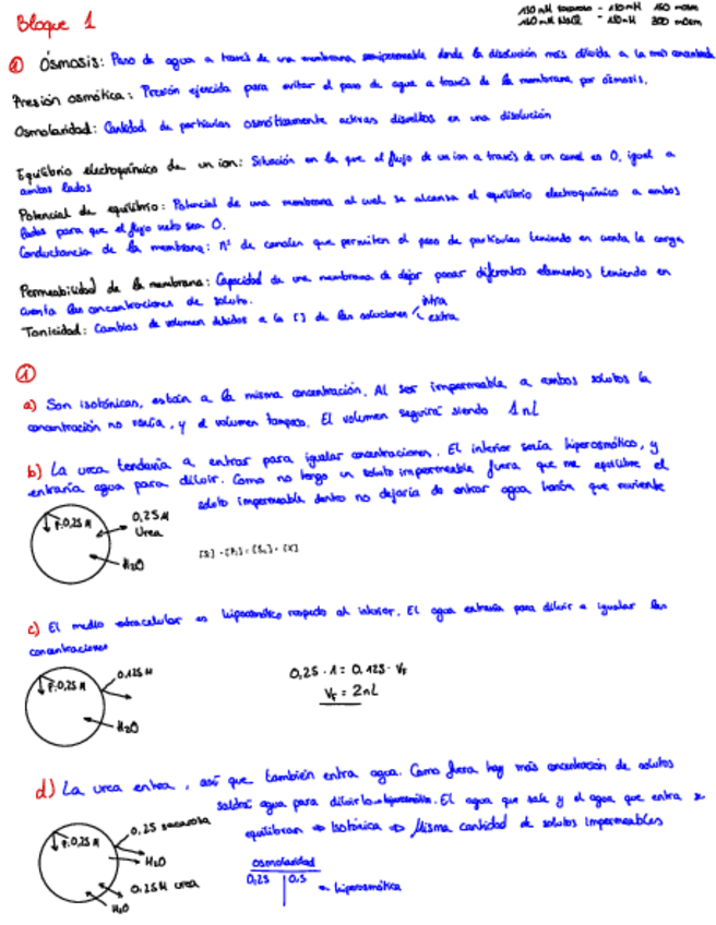 Miniatura del documento Seminarios-fg-y-sangre.pdf