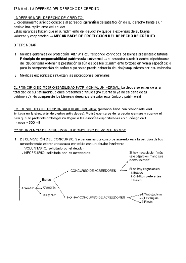 Miniatura del documento TEAMA-VI-DEFENSA-DEL-DERECHO-DE-CREDITO.pdf