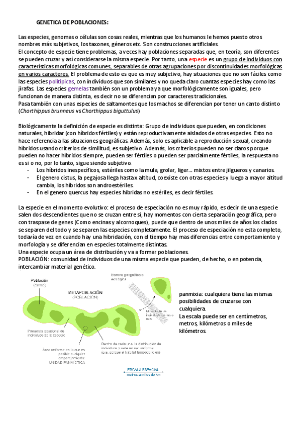 Miniatura del documento GEP-PARCIAL-1.pdf