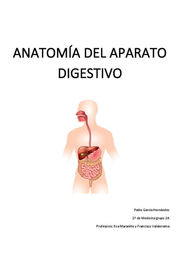 Miniatura del documento Apuntes-Anatomia-del-Aparato-Digestivo.pdf