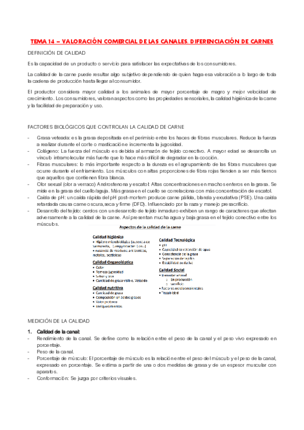 Miniatura del documento Tema-14.pdf