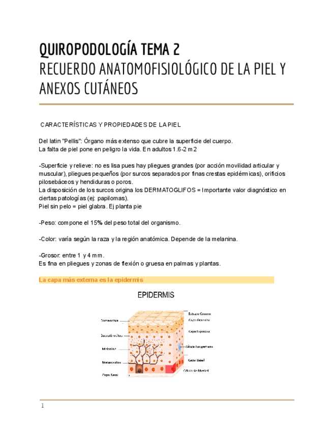 Miniatura del documento TEMA-2-QUIRO.pdf