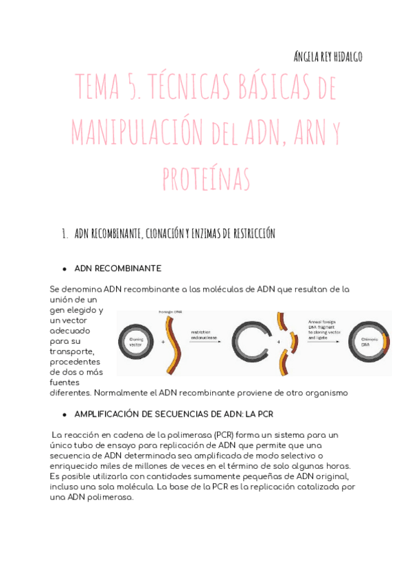 Miniatura del documento TEMA 5. TÉCNICAS BÁSICAS DE MANIPULACIÓN DEL ADN- ARN Y PROTEÍNAS.pdf