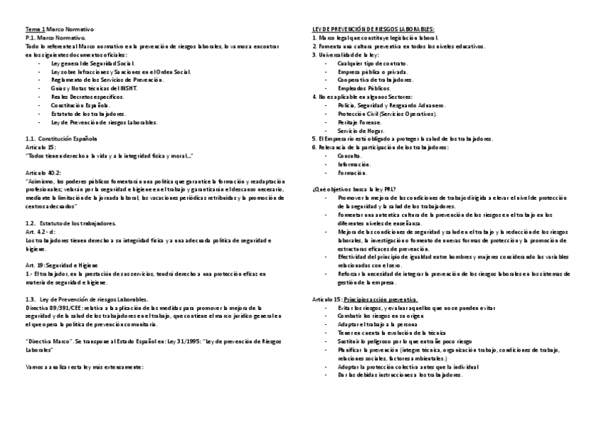 Miniatura del documento Asignatura_Completa.pdf