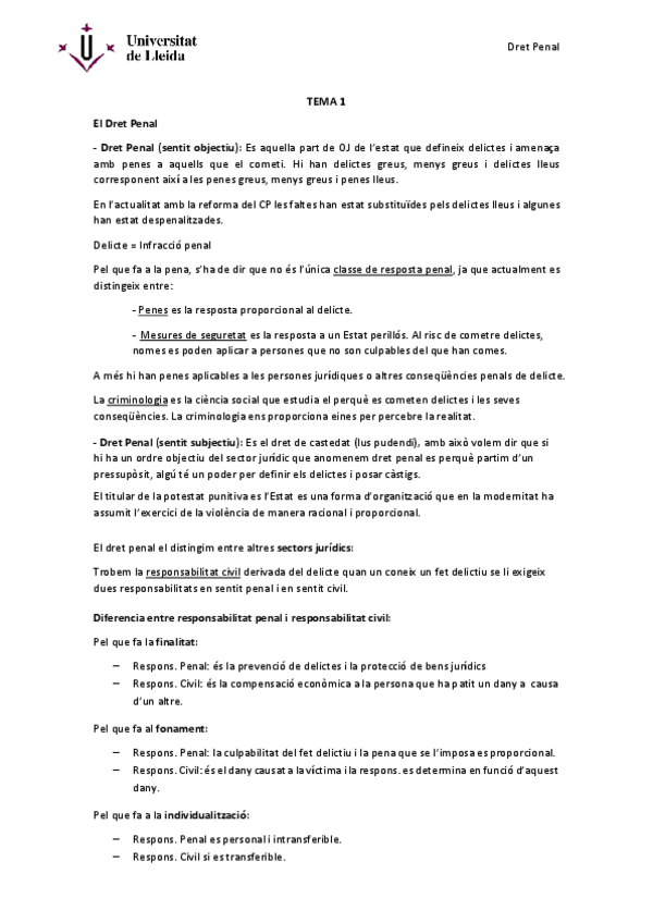 Miniatura del documento Apuntes-penal-primer-semestre.pdf
