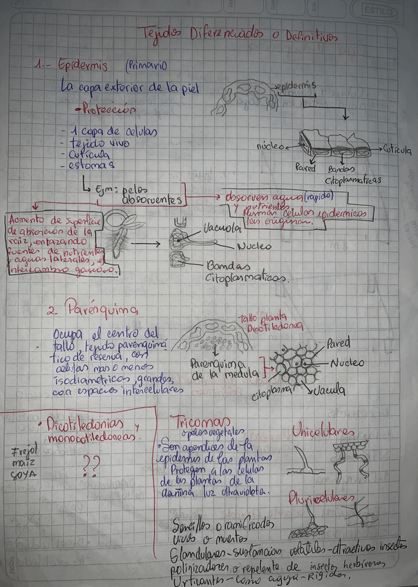 Miniatura del documento IMG5508..jpeg