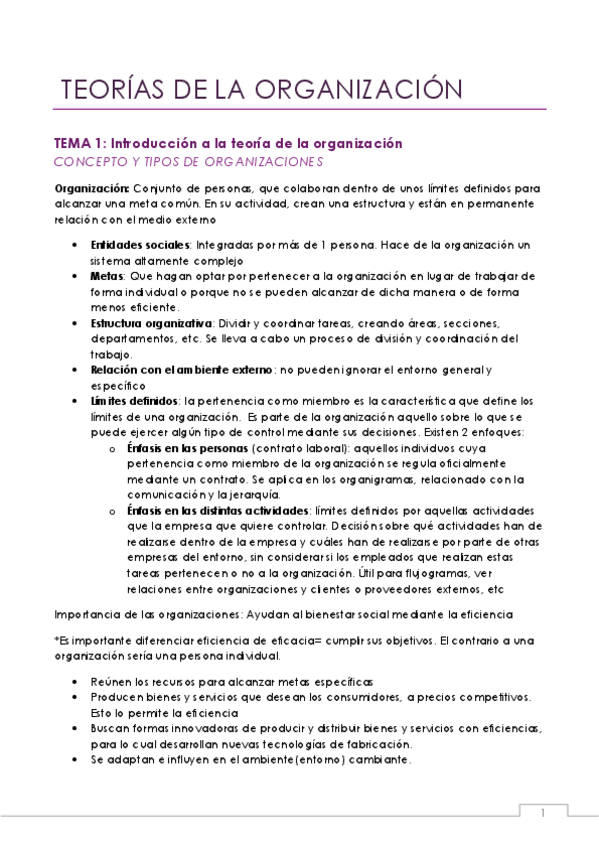 Miniatura del documento TEORIAS-EXAMEN-APUNTES.pdf
