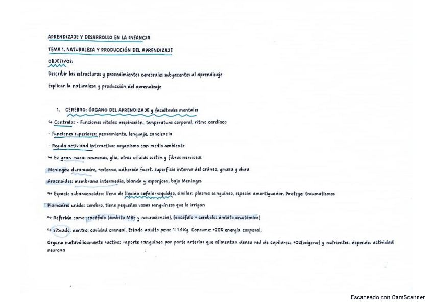Miniatura del documento TEMA-1-APRENDIZAJE-Y-DESARROLLO-INFANTIL.pdf