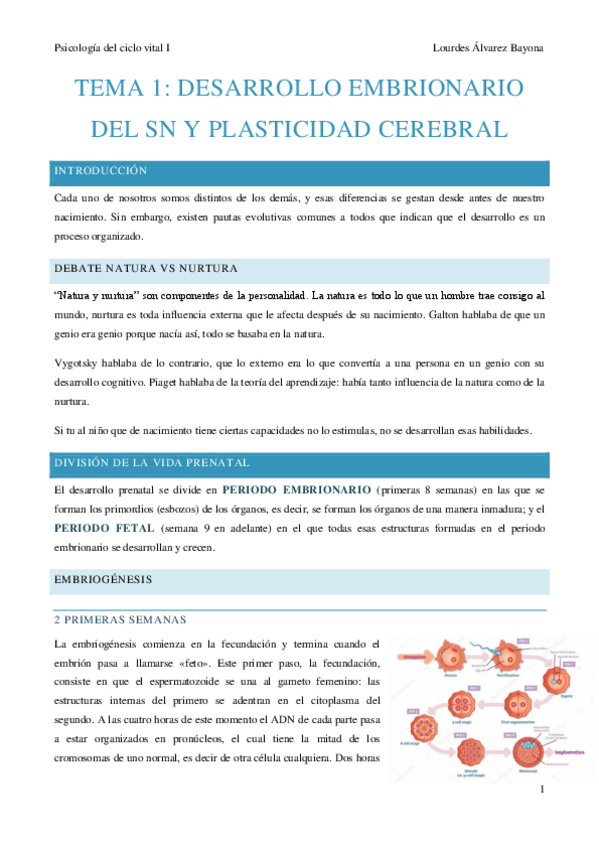 Miniatura del documento APUNTES-CICLO-VITAL-TEMA-1-Y-2.pdf