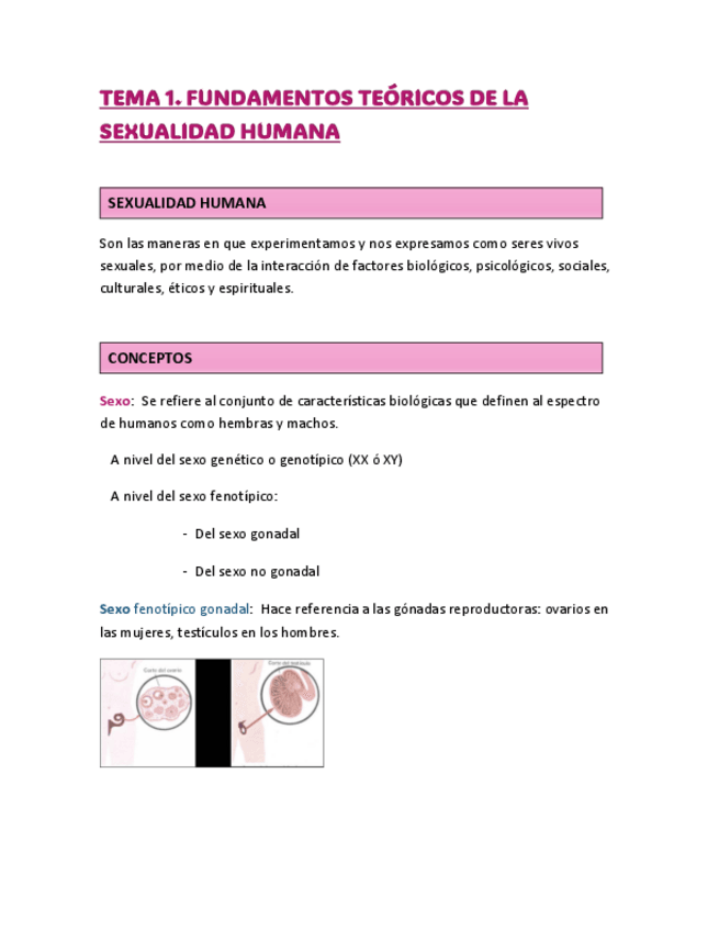 Miniatura del documento TEMA-1.pdf
