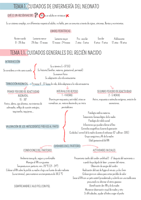 Miniatura del documento NINO-TEMAS-1-2-3-4.pdf