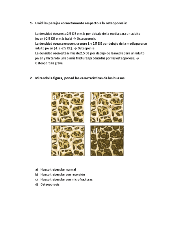 Miniatura del documento Preguntas tipo examen 2.pdf