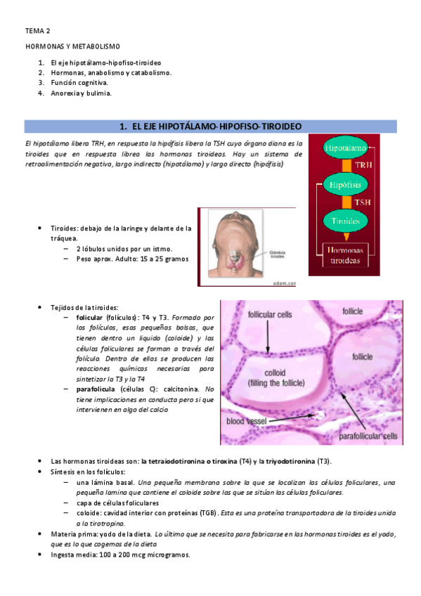 Miniatura del documento 2.-HORMONAS-Y-METABOLISMO.pdf
