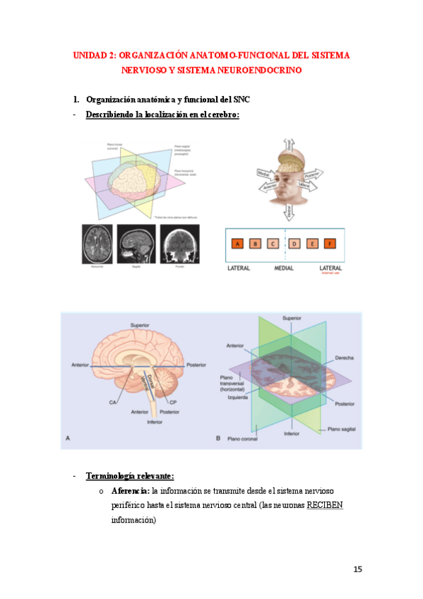 Miniatura del documento Tema-2-Neuropsicologia.pdf
