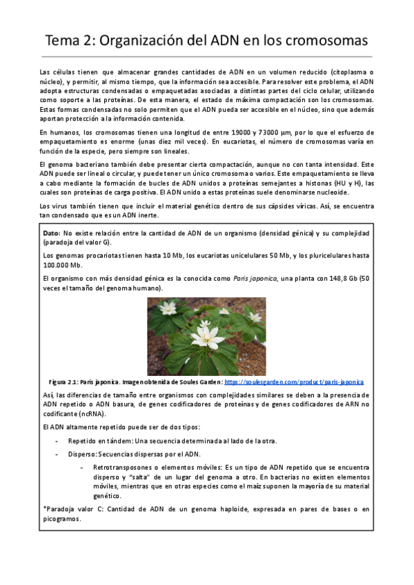 Miniatura del documento Tema-2-Organizacion-del-ADN-en-los-cromosomas.pdf