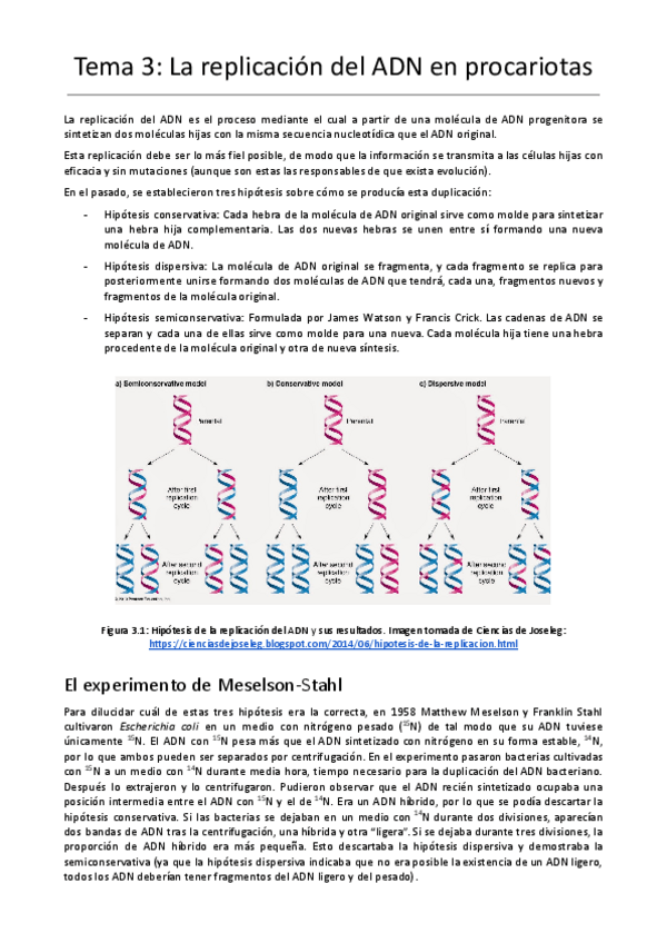 Miniatura del documento Tema-3-La-replicacion-del-ADN-en-procariotas.pdf