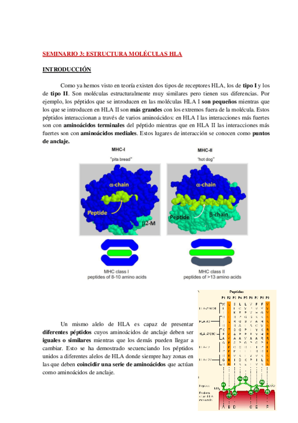 Miniatura del documento SEM-3-INMUNO-WUOLAH.pdf