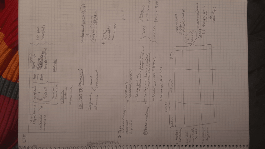 Miniatura del documento Apuntes-EIE.jpg