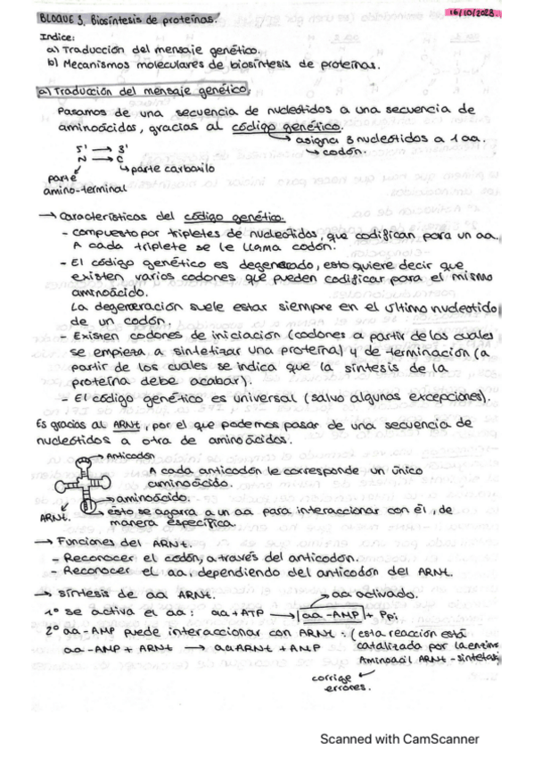 Miniatura del documento BLOQUE-III.pdf