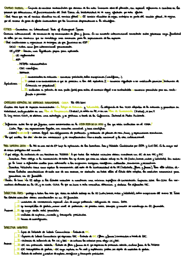 Miniatura del documento ESPECIES-1PARCIAL.pdf