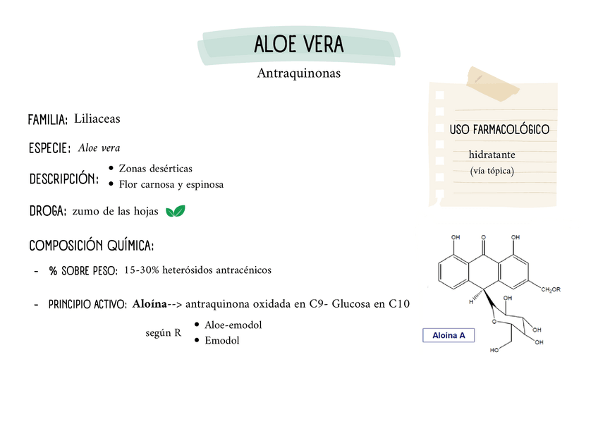 Miniatura del documento Drogas-CF-derivados-de-policetidos.pdf