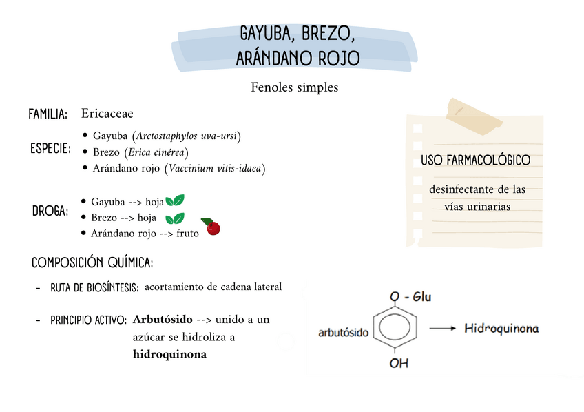 Miniatura del documento Drogas-CF-derivados-de-shikimato.pdf