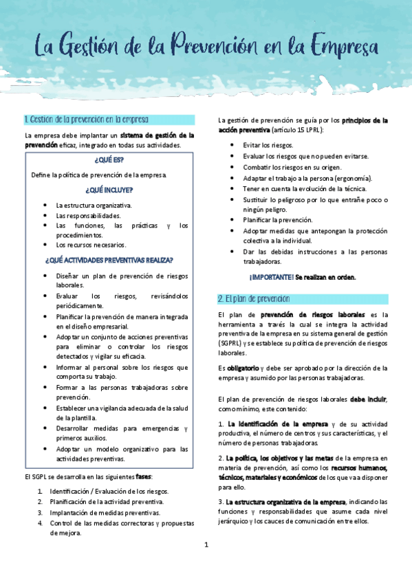 Miniatura del documento T14. La gestión de la prevención en la empresa.pdf