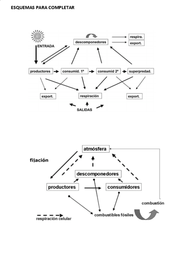 Miniatura del documento Examen-primera-parte-resuelto.pdf