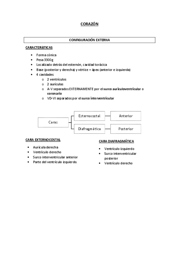Miniatura del documento corazon.pdf