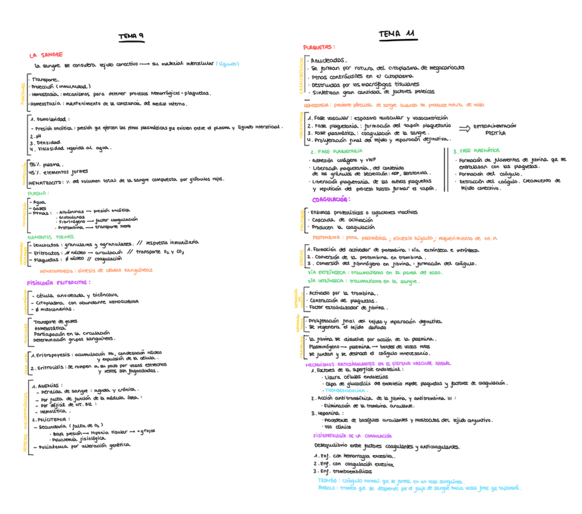 Miniatura del documento Esquemas-TEMA-9-y-11.png