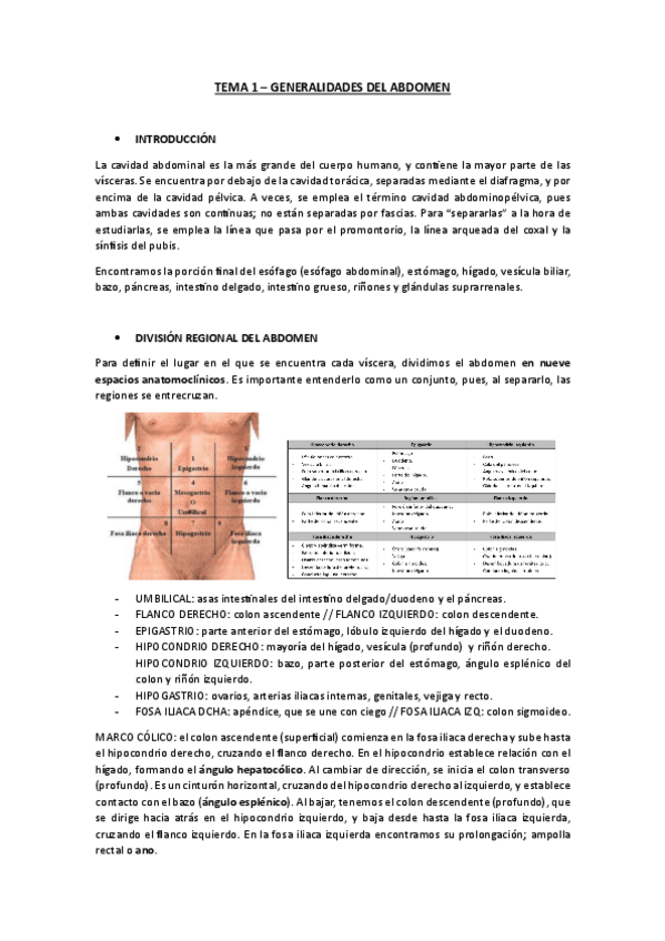 Miniatura del documento TEMAS-ESPLACNOLOGIA-COMPLETO.pdf
