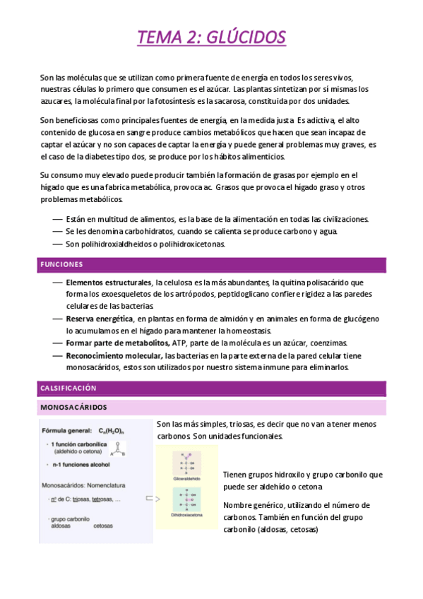 Miniatura del documento TEMA-2-GLUCIDOS.pdf