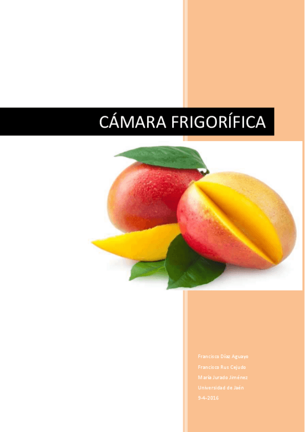 Miniatura del documento Trabajo-camara-frigorifica.pdf