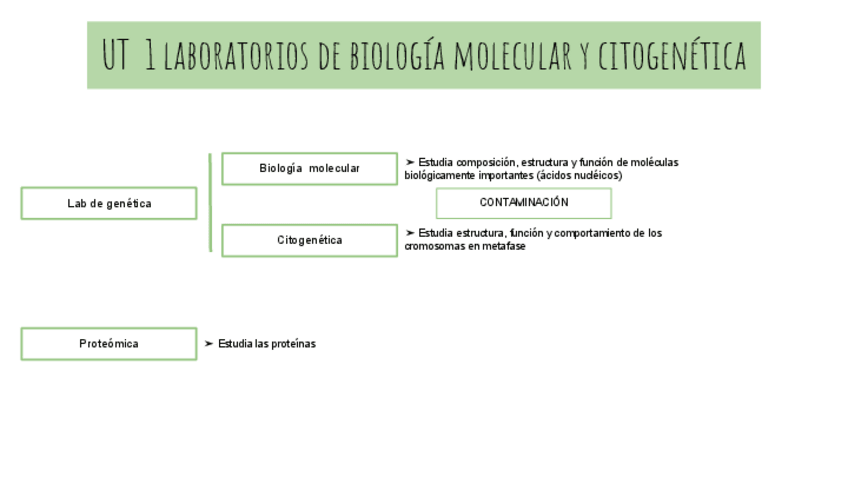 Miniatura del documento UT-1-ESQUEMA-LABORATORIOS-DE-BIOLOGIA-MOLECULAR-Y-CITOGENETICA.pdf