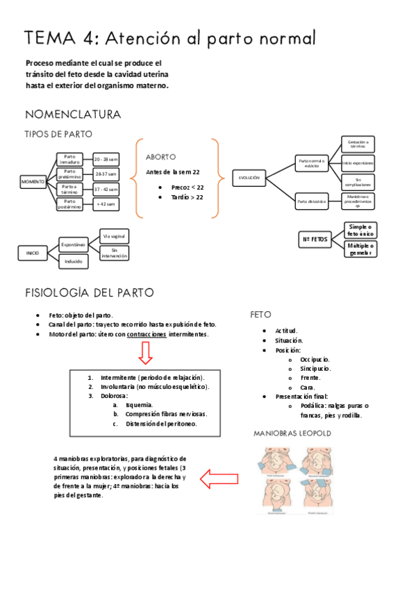 Miniatura del documento TEMA-5-CVI.pdf