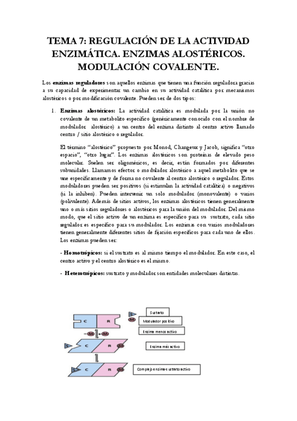 Miniatura del documento TEMA-7Bioquimica.pdf