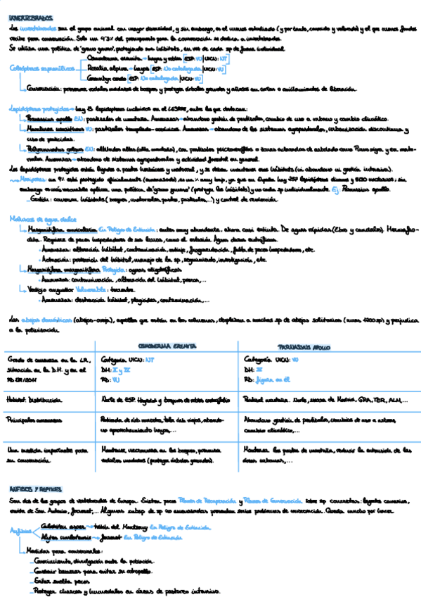 Miniatura del documento ESPECIES-3PARCIAL.pdf