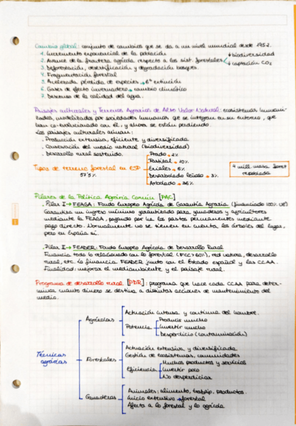 Miniatura del documento GAAlfonsoYSelvicultura.pdf