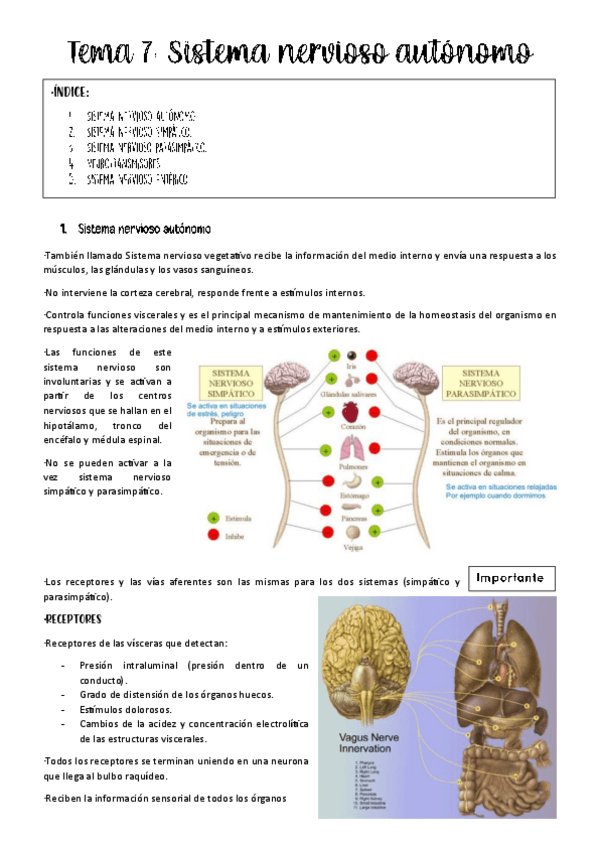 Miniatura del documento tema-7-fisio-animal.pdf