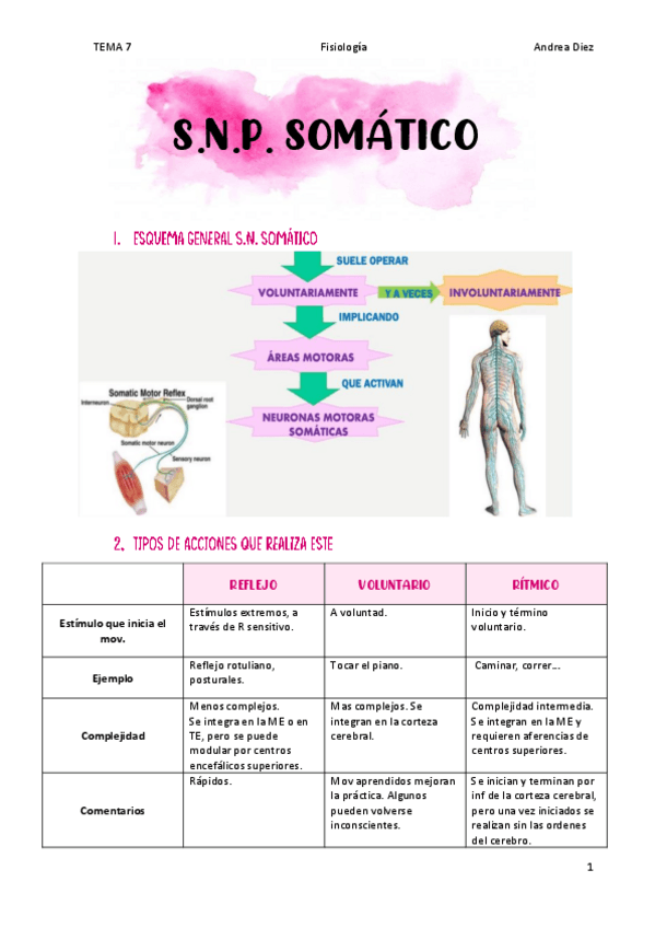 Miniatura del documento TEMA-7-S.N.P.-Somatico.pdf