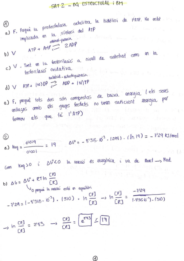 Miniatura del documento SAT-2-BQ.pdf